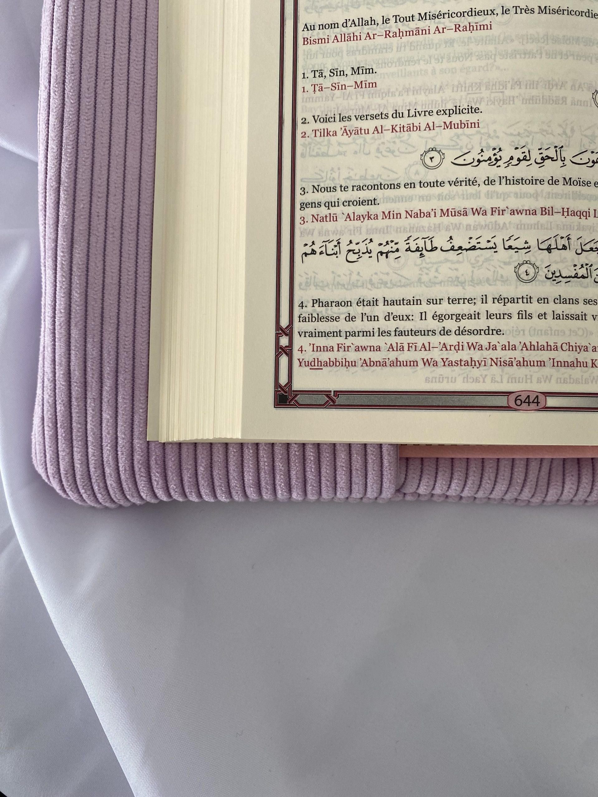 Le Protège-Mushaf Laylakî – Image 5