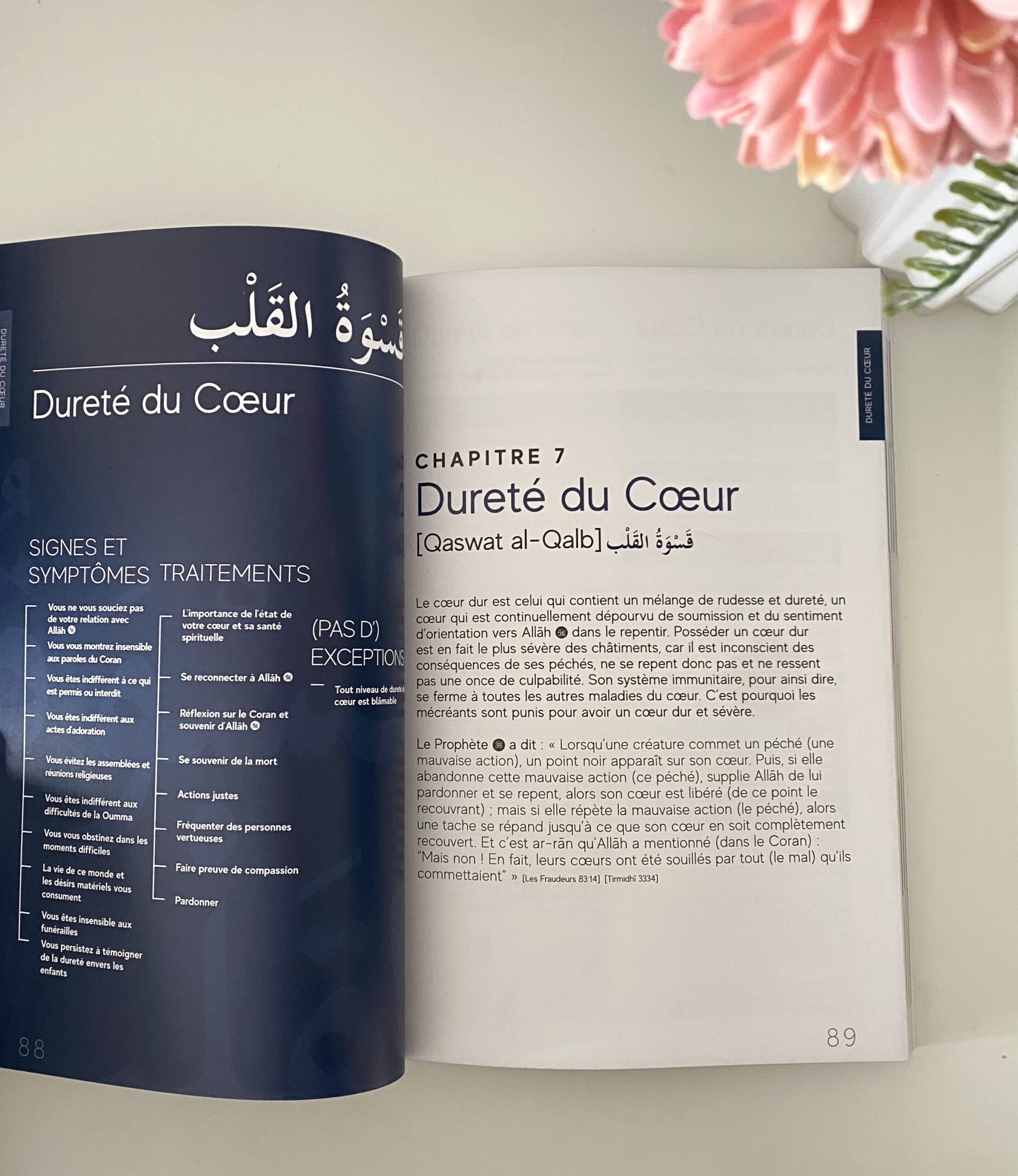 Manuel de médecine spirituelle - Ibn Daud – Image 3